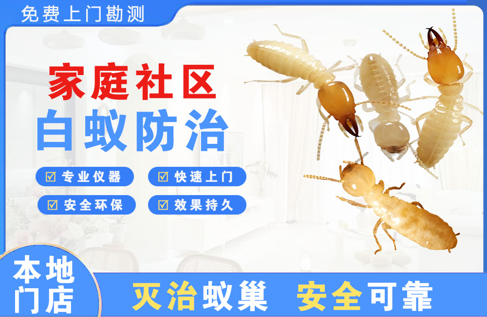 仁寿家庭社区白蚁防治