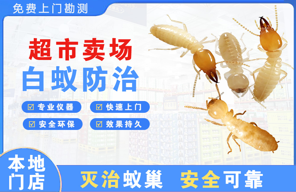 仁寿超市卖场白蚁防治