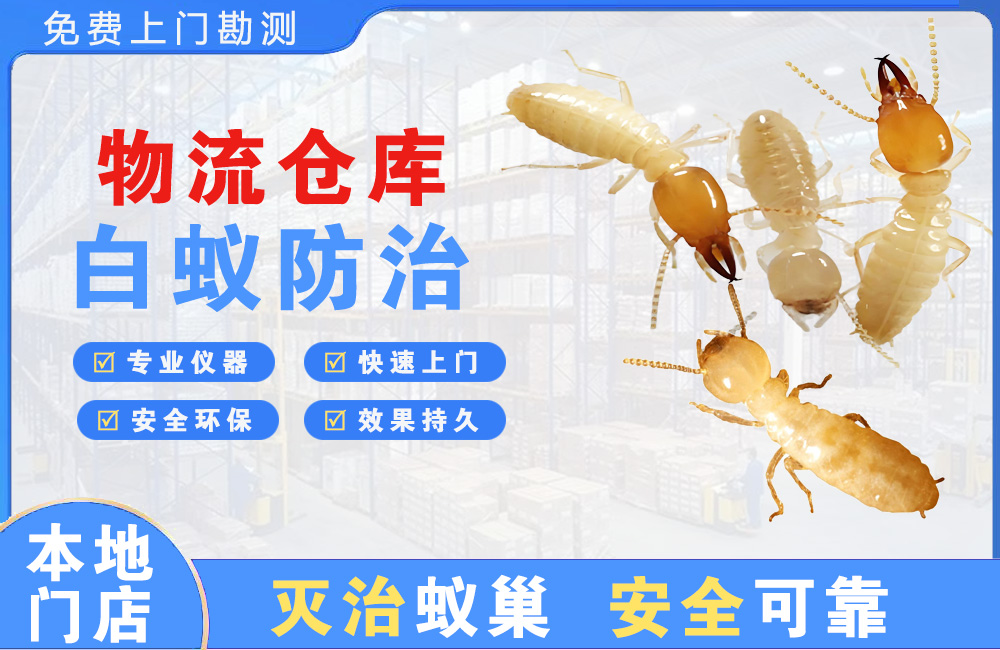 仁寿物流仓库白蚁防治