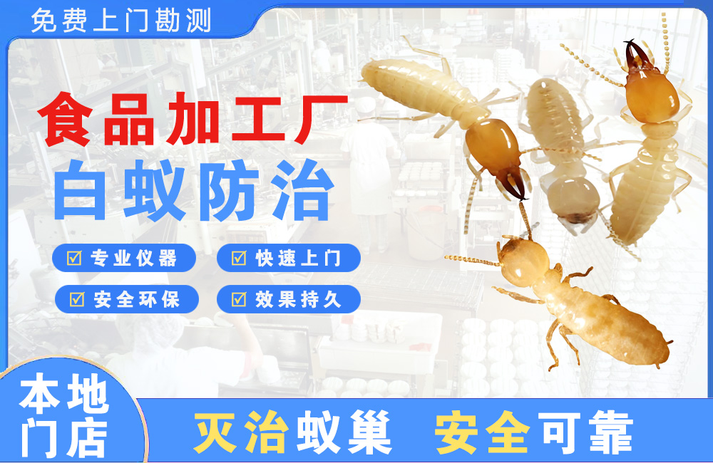 仁寿食品加工厂白蚁防治