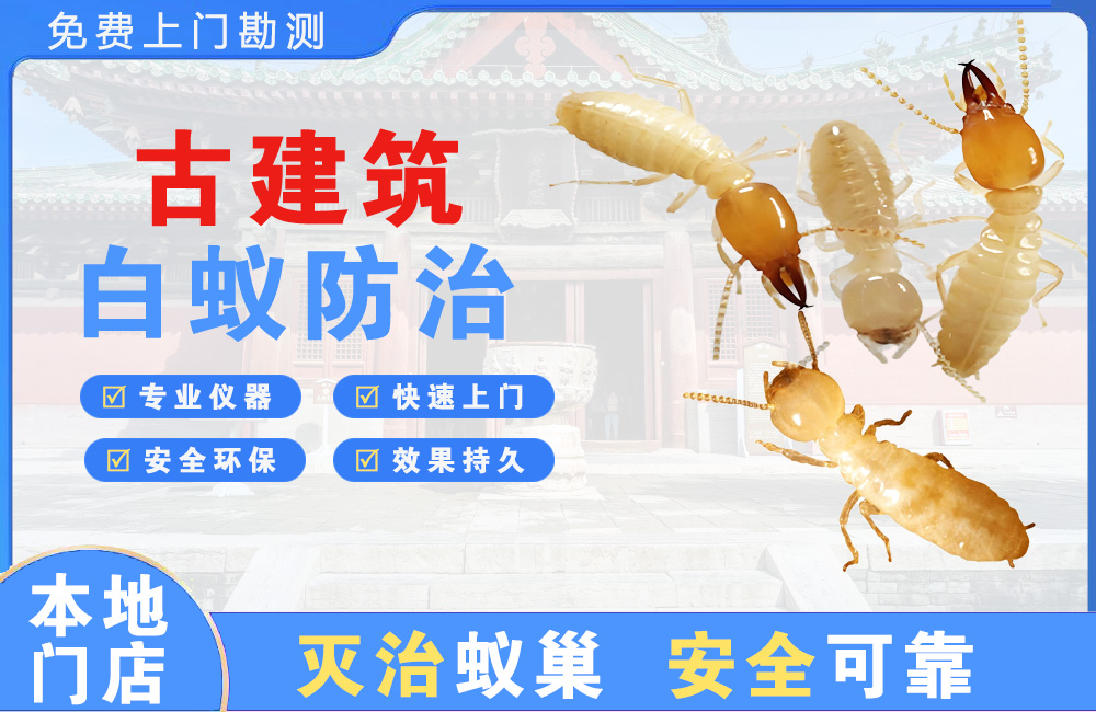 仁寿古建筑白蚁防治