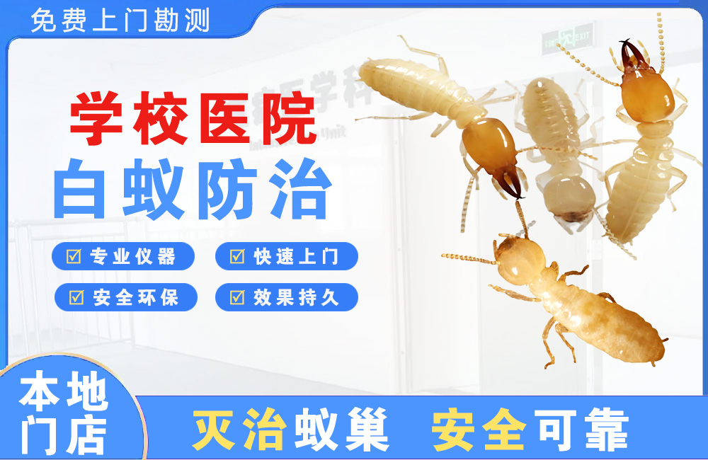 仁寿学校医院白蚁防治