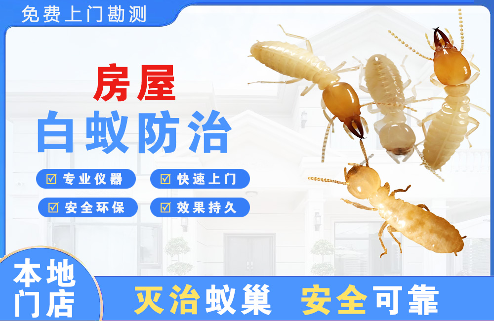 仁寿房屋白蚁防治