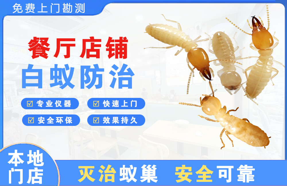 仁寿餐厅店铺白蚁防治